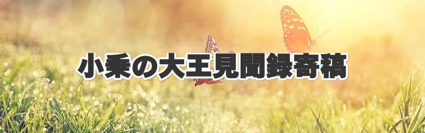 小乗の大王見聞録寄稿